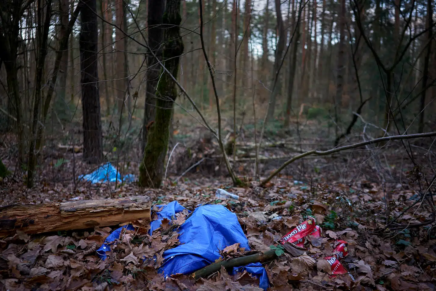 Der er lagt en jernring rundt langs hele grænsen mellem Polen Og Belarus. Kun affald i form af gamle regnfrakker og andet tøj og indpakninger fra mad viser, hvor emigranterne har passeret skovstien ved Sokólska.