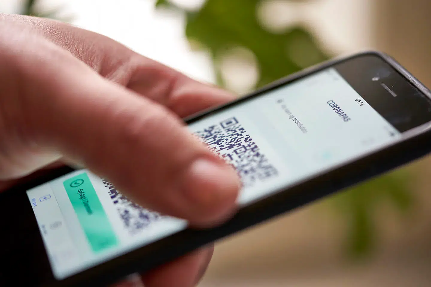 Desuden opfordrer KL kommunerne til at overveje coronapas på en række områder med borgerkontakt. (Arkivfoto)