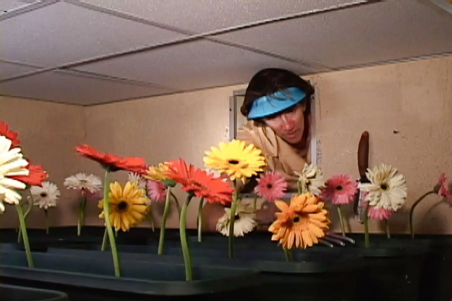 Kvinderne er gerne i små indeklemte barokke rum, hvor de blandt andet bearbejder dej, elpærer, negle og, som i »Dough« fra 2006, også blomster.