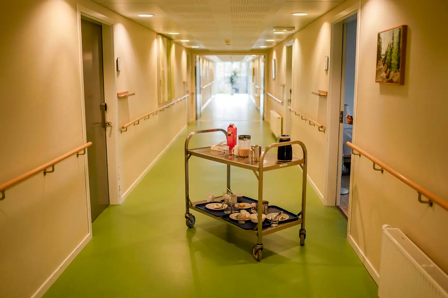 Der er 91 plejeboliger under Møllegården. I dem bor godt 100 beboere. Nogle bor alene, andre bor med deres partner.