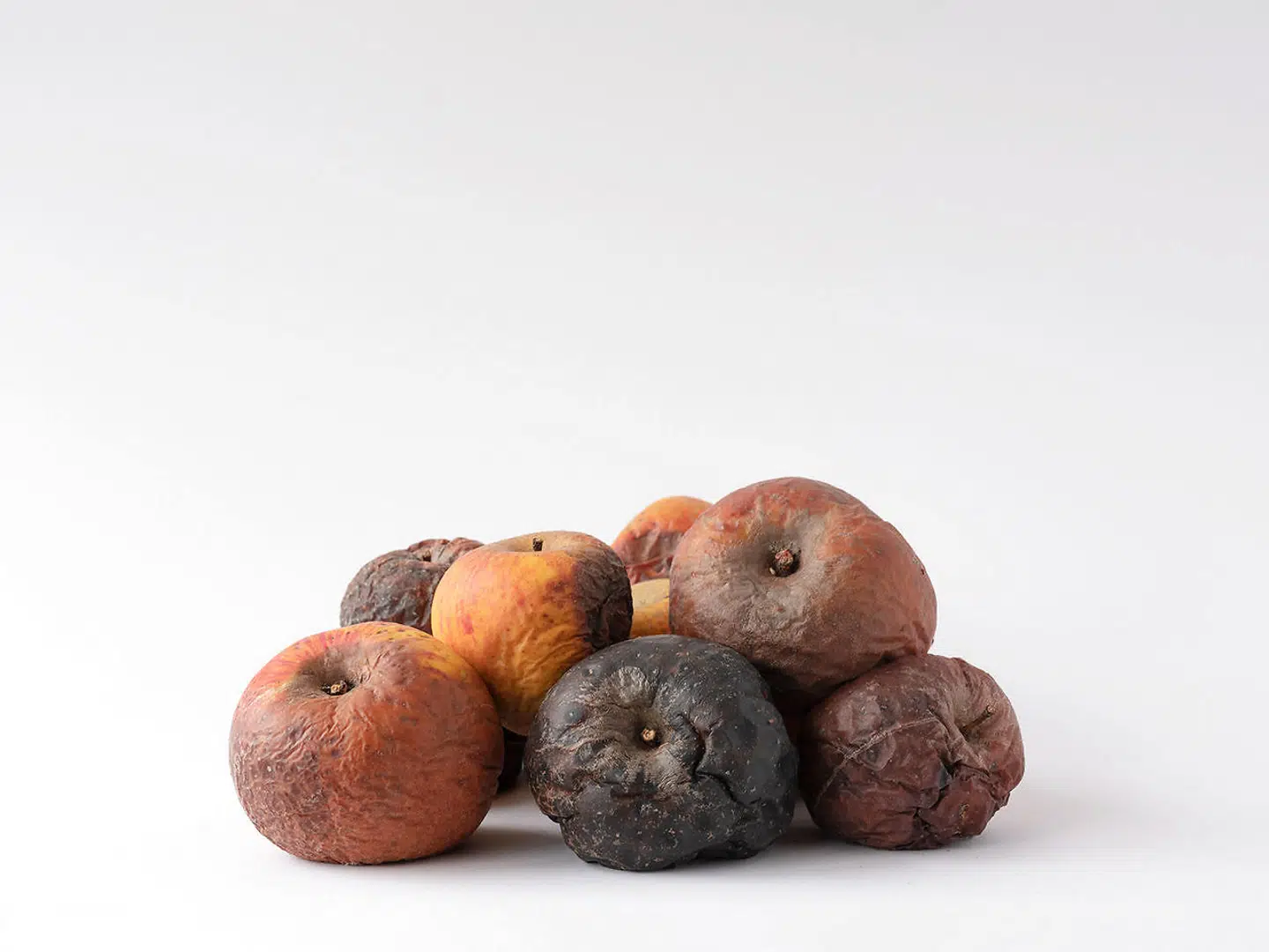 I »Borgherre«-serien træder vanitasbegrebet frem i al sin skrækkelige ynde. Trine Søndergaard har fotodokumenteret en bunke arrangerede æblers forrådnelse over tid.