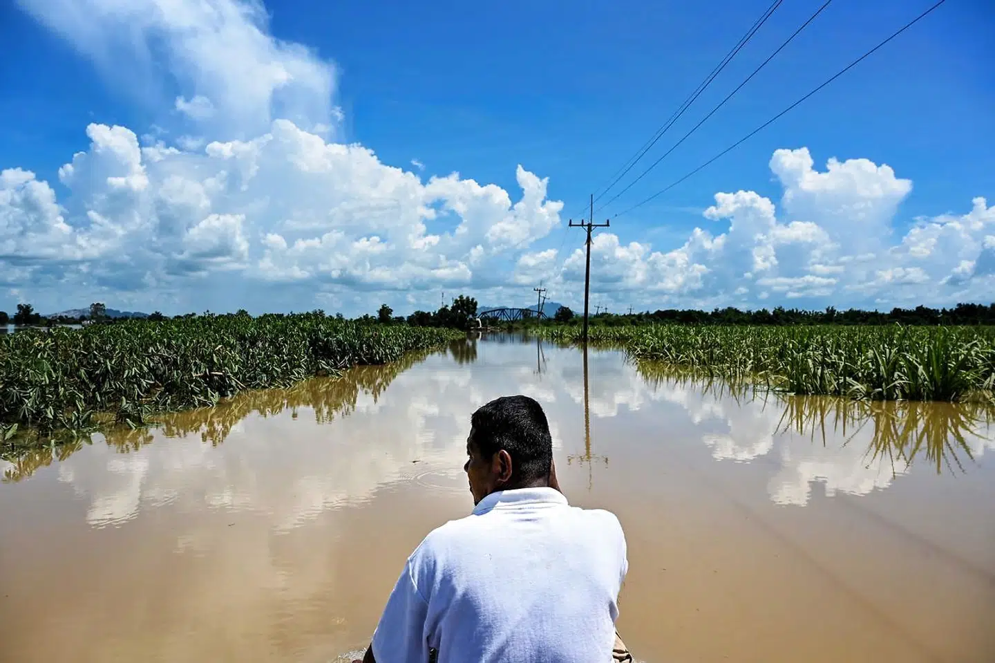 I de seneste 50 år er antallet af vejrrelaterede naturkatastrofer steget kraftigt på kloden. Her oversvømmelser af afgrøder i Thailand i september i år.