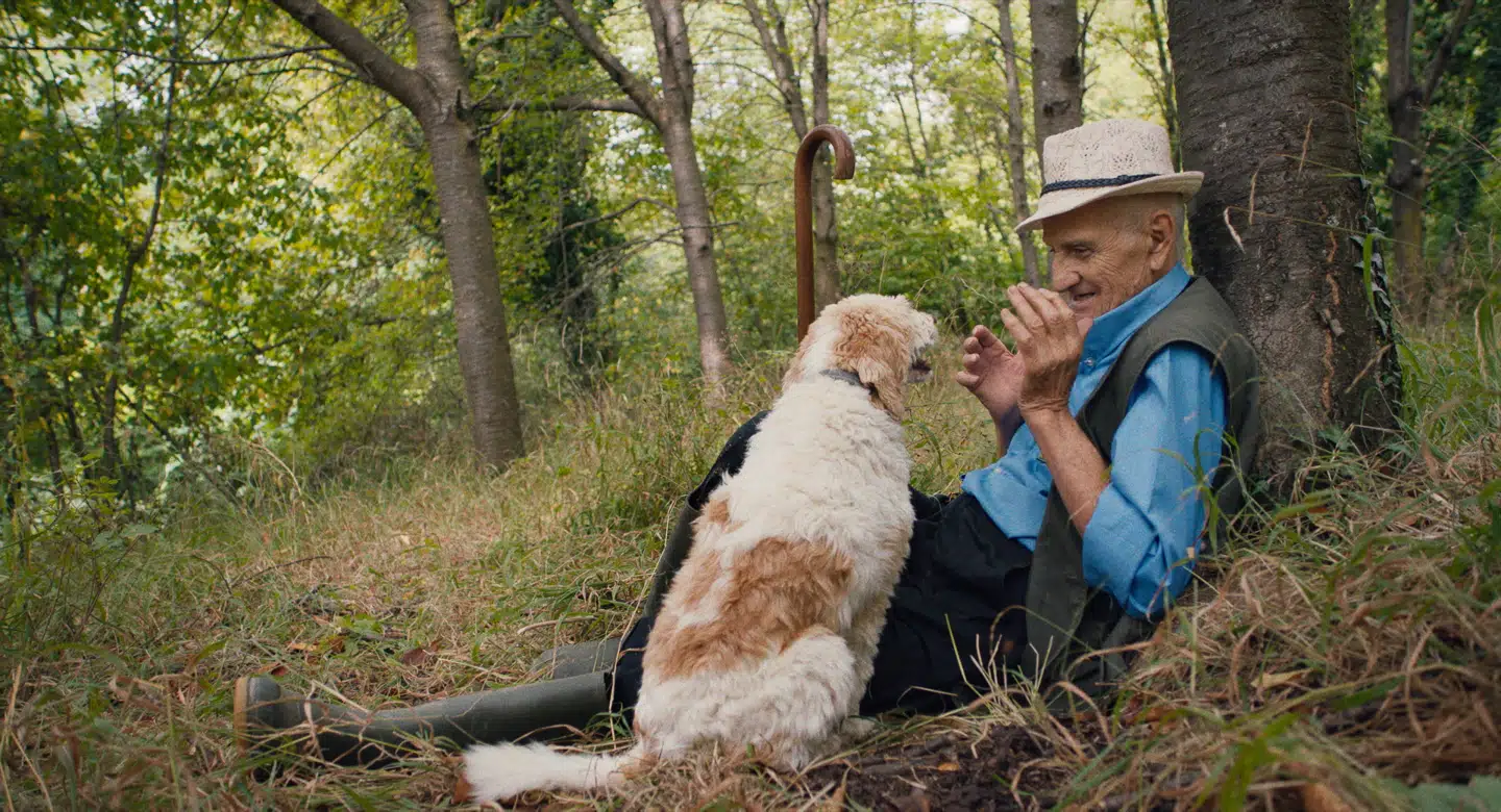 Dokumentarfilmen er i høj grad båret af de fine portrætter af fire gamle trøffeljægere og deres hunde.