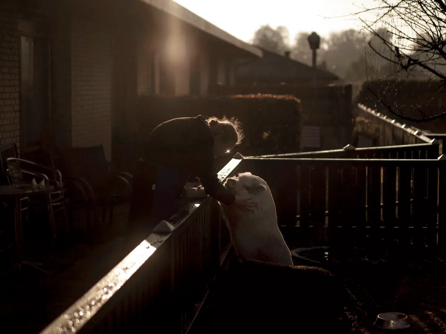 I haven mellem to afdelinger bor Ålholmhjemmets to grise, Christian og Frederik. De passes af en af plejehjemmets afdelinger, men alle andre er også velkomne til at hilse på.