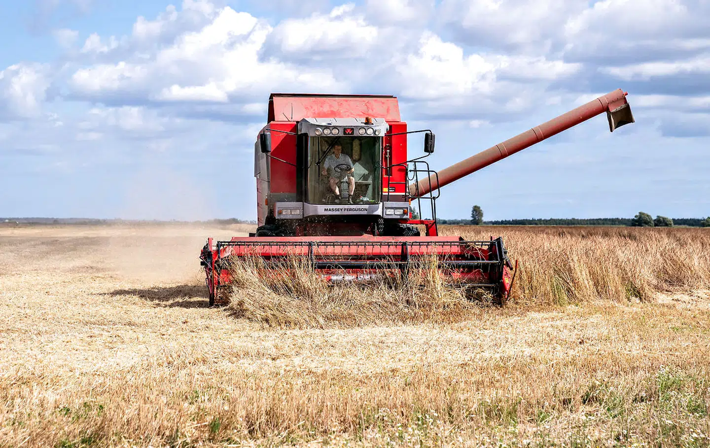 Ligesom den røde revolutions fjender var adelen, de borgerlige og kapitalismen, er den grønne revolutions fjender bonden, koen og gårde, mener Hans Hauge.