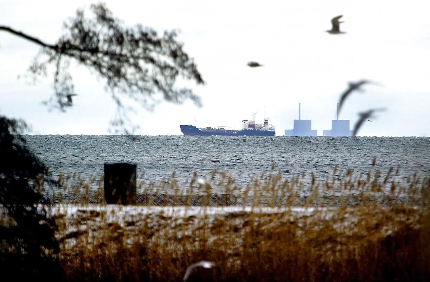 »Det latterlige slagsmål mellem medlemslande i EU om, hvorvidt atomkraft er grøn eller ej, må ophøre. Atomkraft er ubetinget grønt i betydningen fri for CO2. Modstanden mod atomkraft er politisk og løsrevet fra fakta,« skriver Ole P. Kristensen i denne leder.