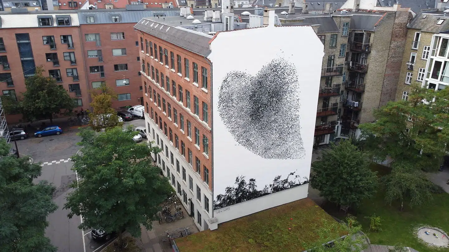Et foto af en stor flok fugle fra Sønderjylland, der danner fænomenet sort sol, blev i sensommeren overført med sort maling på en gavl i det kvarter på Vesterbro, der har gadenavne efter Søren Solkærs hjemegn i Sønderjylland. Nede i gadeplan er fastgjort en bronzeplade, hvor man kan se, at Jens-Peter Brask er kuratoren bag gavlværket samt hvilke fonde, der har været involveret.