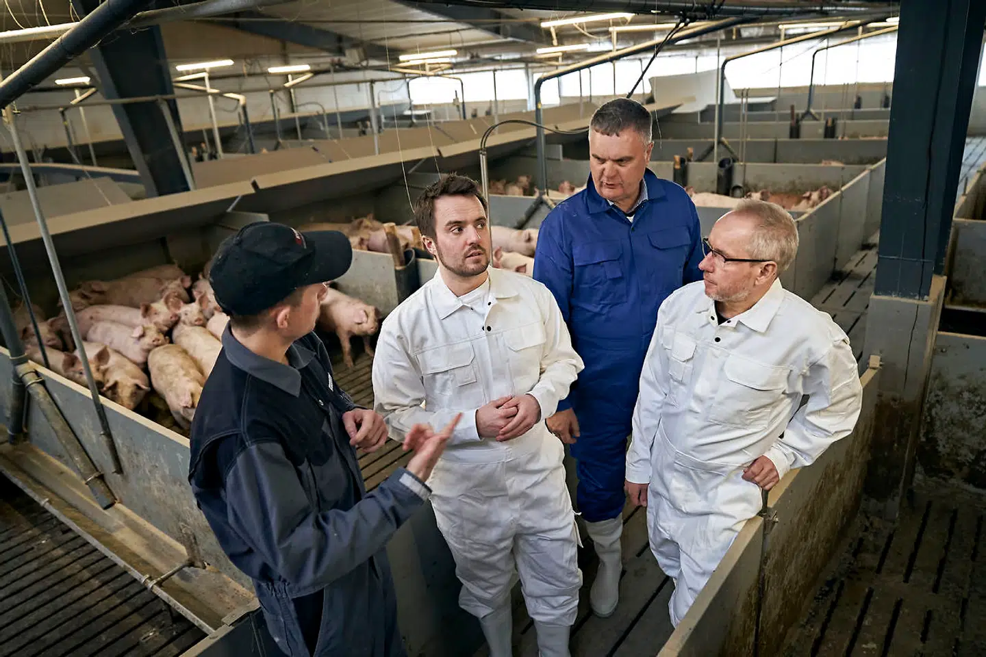Danish Crown-topchef Jais Valeur i blåt og erhvervsminister Simon Kollerup (S), nummer to fra venstre, er her på besøg hos de unge landmænd, Kim Kjær Knudsen og Knud Kjær Knudsen nær Ringsted i marts 2020. Kim og Knud Kjær Knudsen er nogle af de landmænd, der bruger bedriftsregnskaber og ny teknologi til at gøre der svineproduktion mere klimavenligt. Det er vejen frem, mener Jais Valeur. Arkivfoto: Niels Ahlmann Olesen