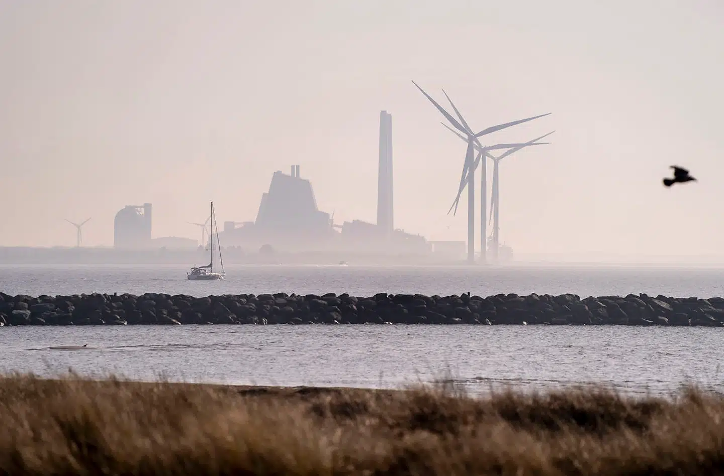 Regeringen opfordres nu til at sænke elafgiften, for at hjælpe danskerne med de rekordhøje elpriser.