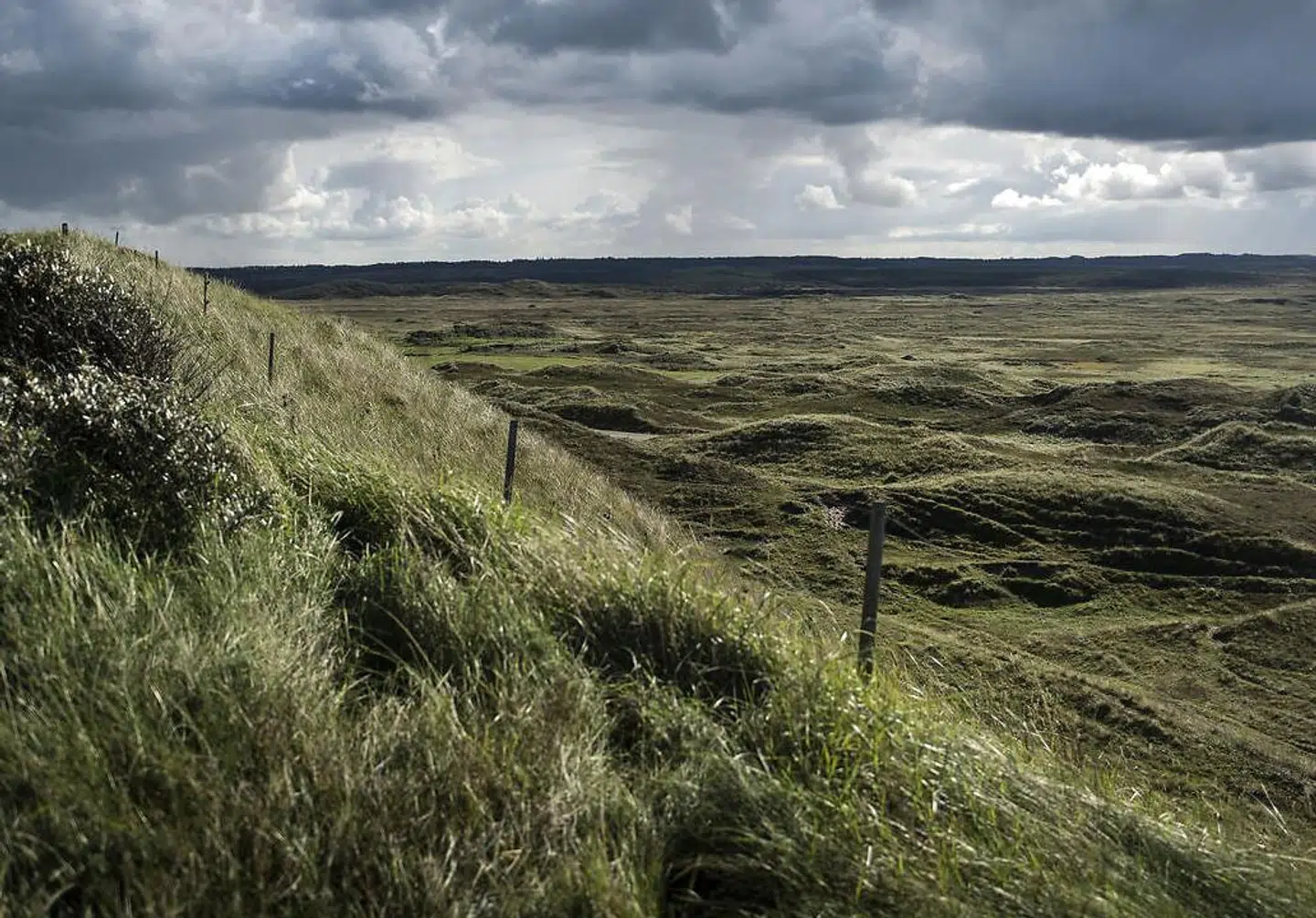 Klithede i nationalpark Thy.
