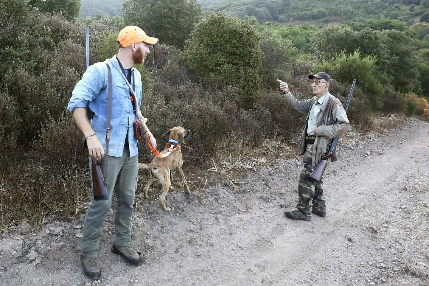 Vildsvinejagt på Korsika. Og i storbyområderne deltager jægere flere steder i bestræbelserne på at holde bestanden nede. Men dyrevenner kræver mere »humane« metoder.