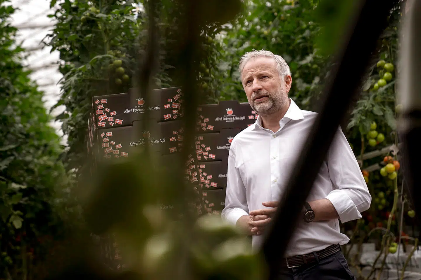 Mads Pedersen, ejer og administrerende direktør i gartneriet Alfred Pedersen & Søn, forventer, at 2021 bliver et »historisk svært år« for virksomheden.