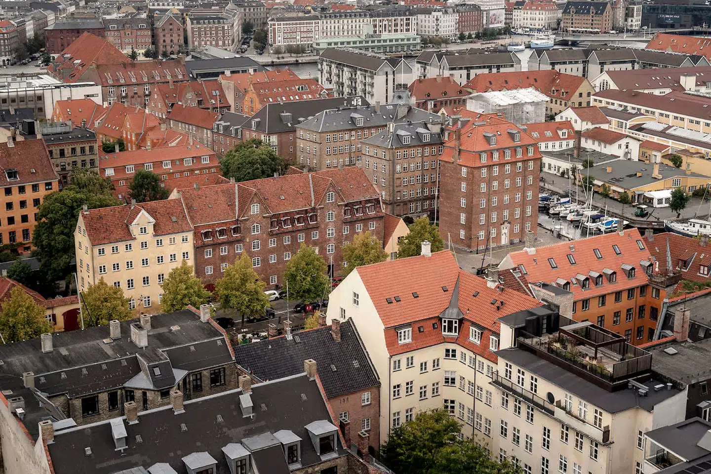 Det Systemiske Risikoråd, der er regeringens finansielle toprådgivere med nationalbankdirektør Lars Rohde i spidsen, mener fortsat, at man bør begrænse adgangen til de afdragsfrie lån for boligejere, som skylder mere end 60 procent i boligen.