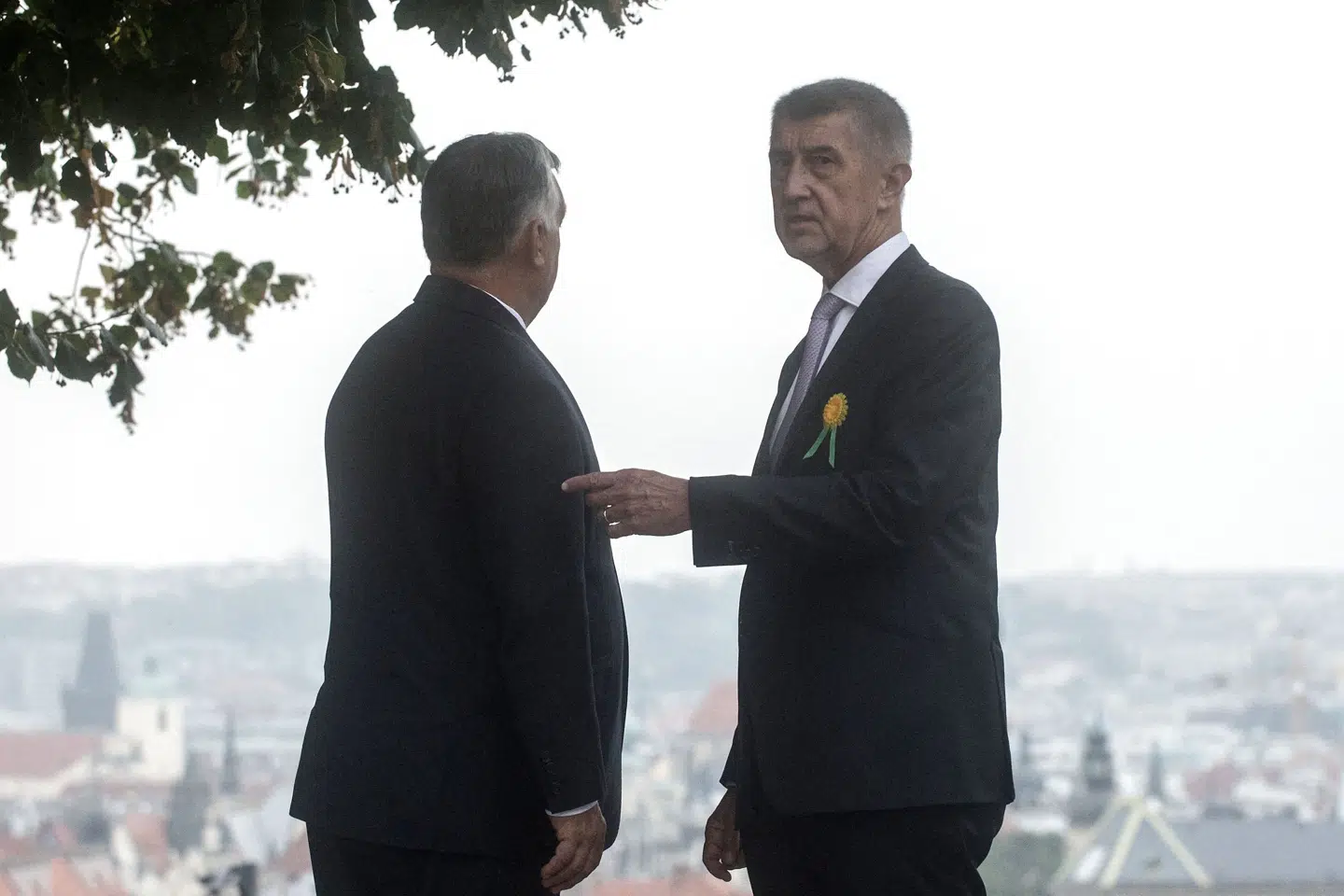 Tjekkiets premierminister, Andrej Babis (t.h.), der her taler med sin ungarske kollega, Viktor Orbán, er den eneste nuværende stats- eller regeringschef fra et EU-land, der er nævnt i de såkaldte Pandora-papirer. (Arkivfoto) Michal Cizek/Ritzau Scanpix