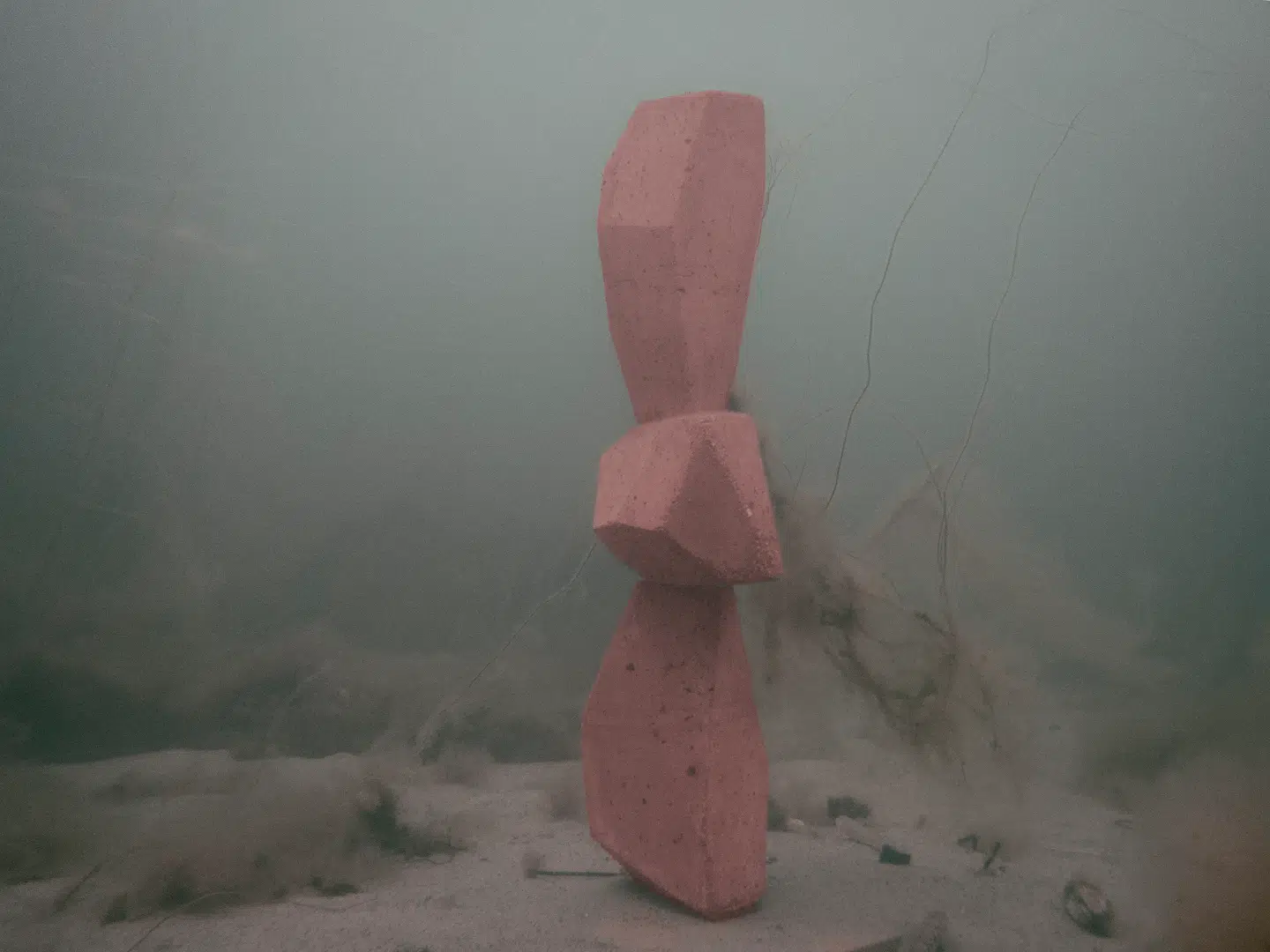 Grundstenen til »Super Rev«, som Superflev har installeret i Øresund i fællesskab med kronprins Frederik.