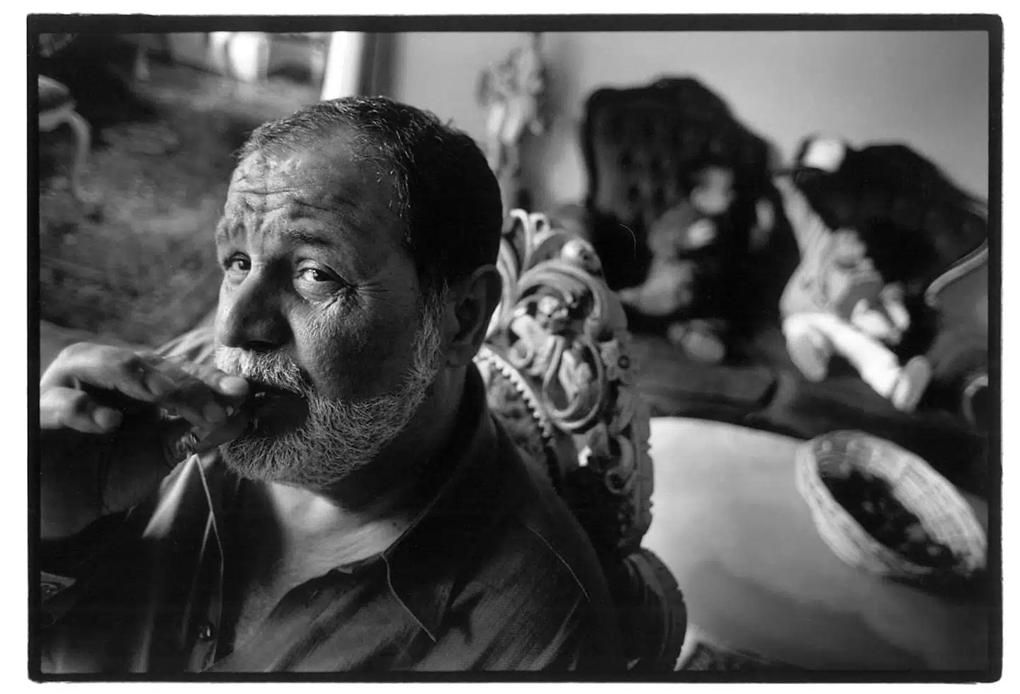 Dusi Petrovic var familiens leder, da Levakovic-familien kom til Danmark i 1970erne. I dag er det hans søn, Gimi Levakovic, som sidder for bordenden og leder den kriminelle familie.