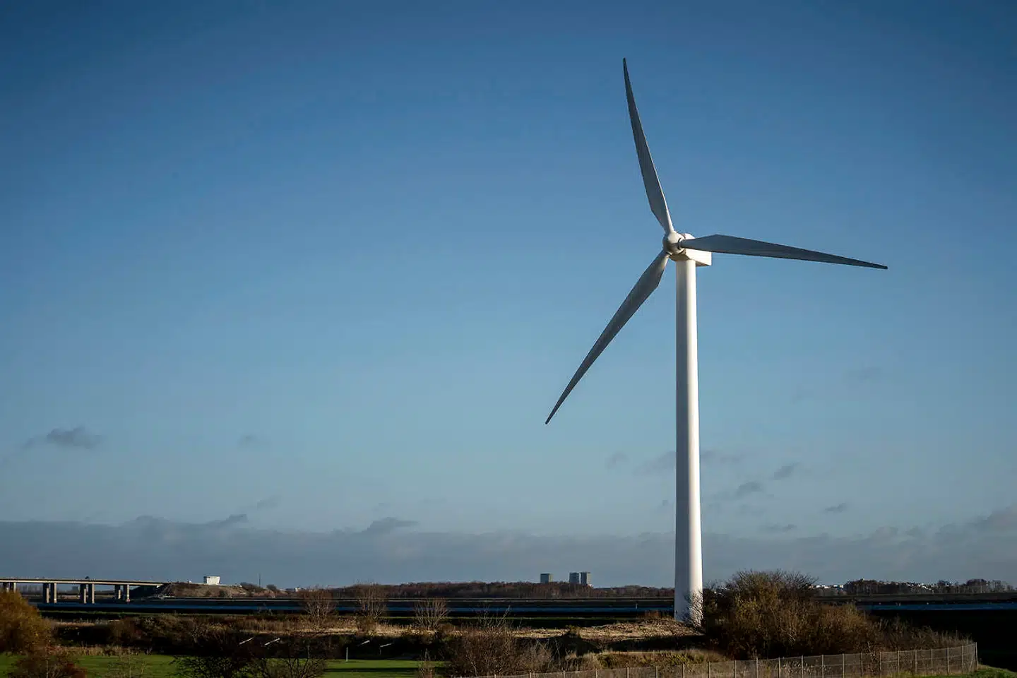 Foto: Mads Claus Rasmussen/Ritzau Scanpix