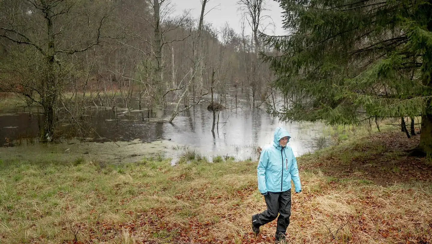 Formanden for Danmarks Naturfredningsforening Helsingør, Helle Øelund, fotograferet i Gribskov, hvor der skal etableres i en ny naturnationalpark.