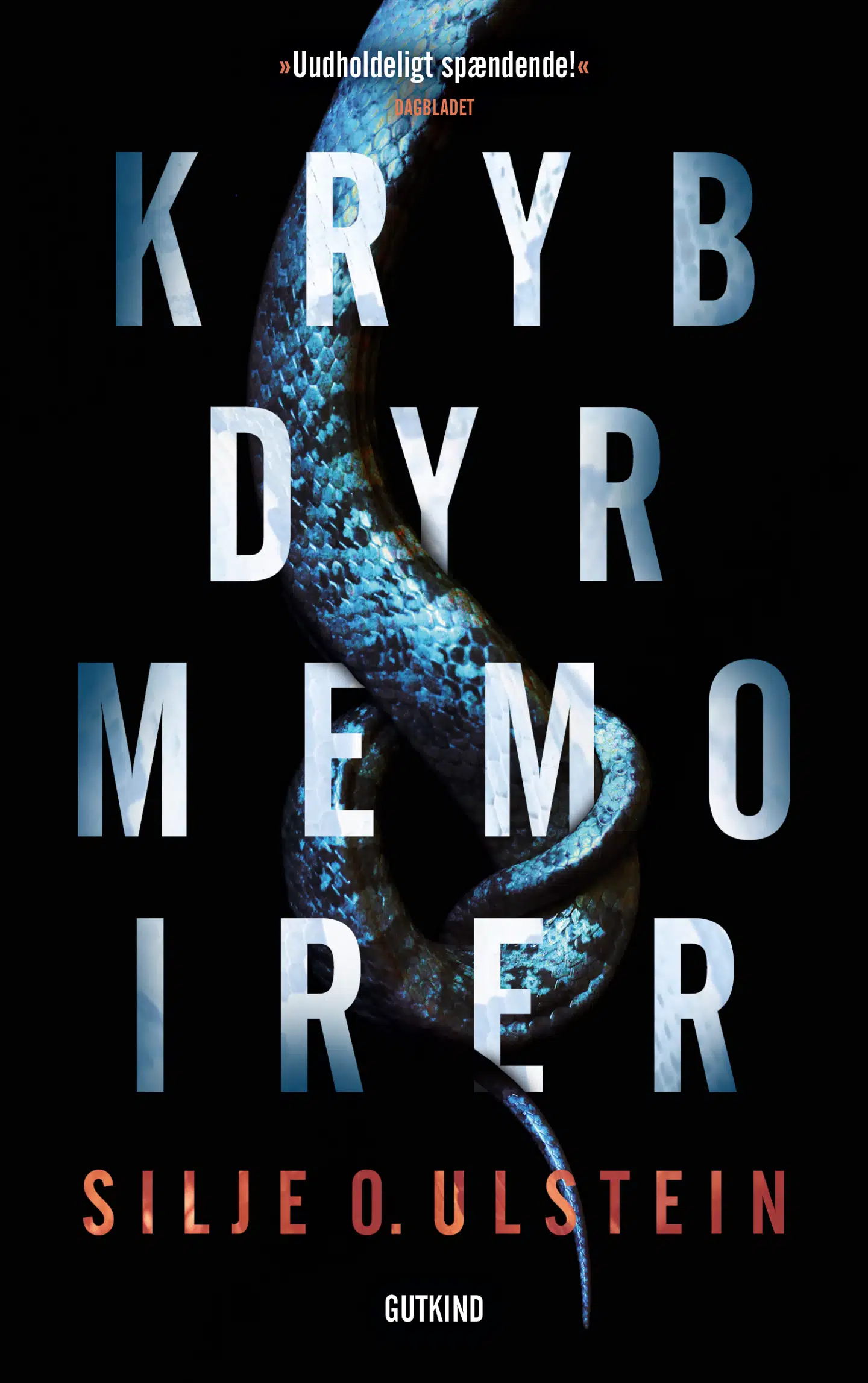 Silje O. Ulstein har skrevet en mørk og intens psykologisk thriller om emner som ensomhed, sorg og seksuel besættelse.