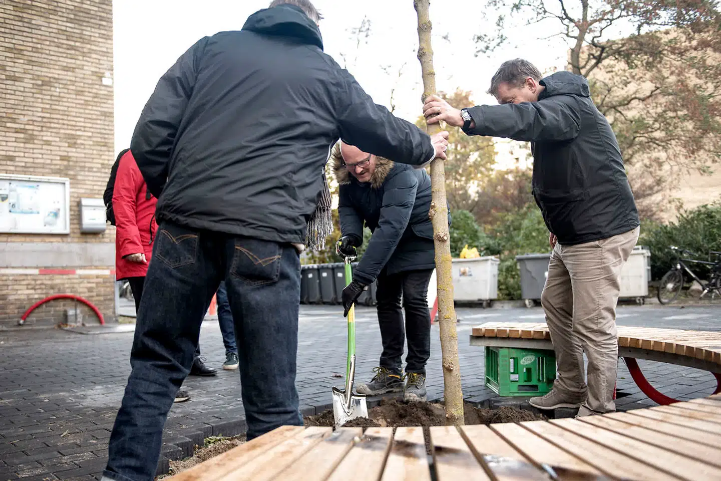 Københavns Kommune har indtil nu brugt 5,5 millioner på »partnerskabstræer«, hvor man kan få et gratis træ mod at passe det og sørge for, at det er synligt for andre. Men gennem alle årene har der ikke været nogen kontrol med ordningen, og i dag ved man ikke, hvor mange af træerne der er døde. Eller om kampagnen gør byen grønnere, som formålet med den er.