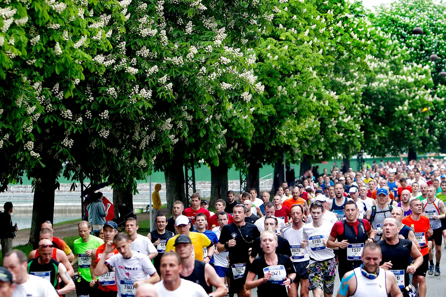 Halvmaraton, bilfri gadefest og topopgør i Superligaen er blandt de store begivenheder, der finder sted i hovedstaden i dag og påvirker trafikken.
