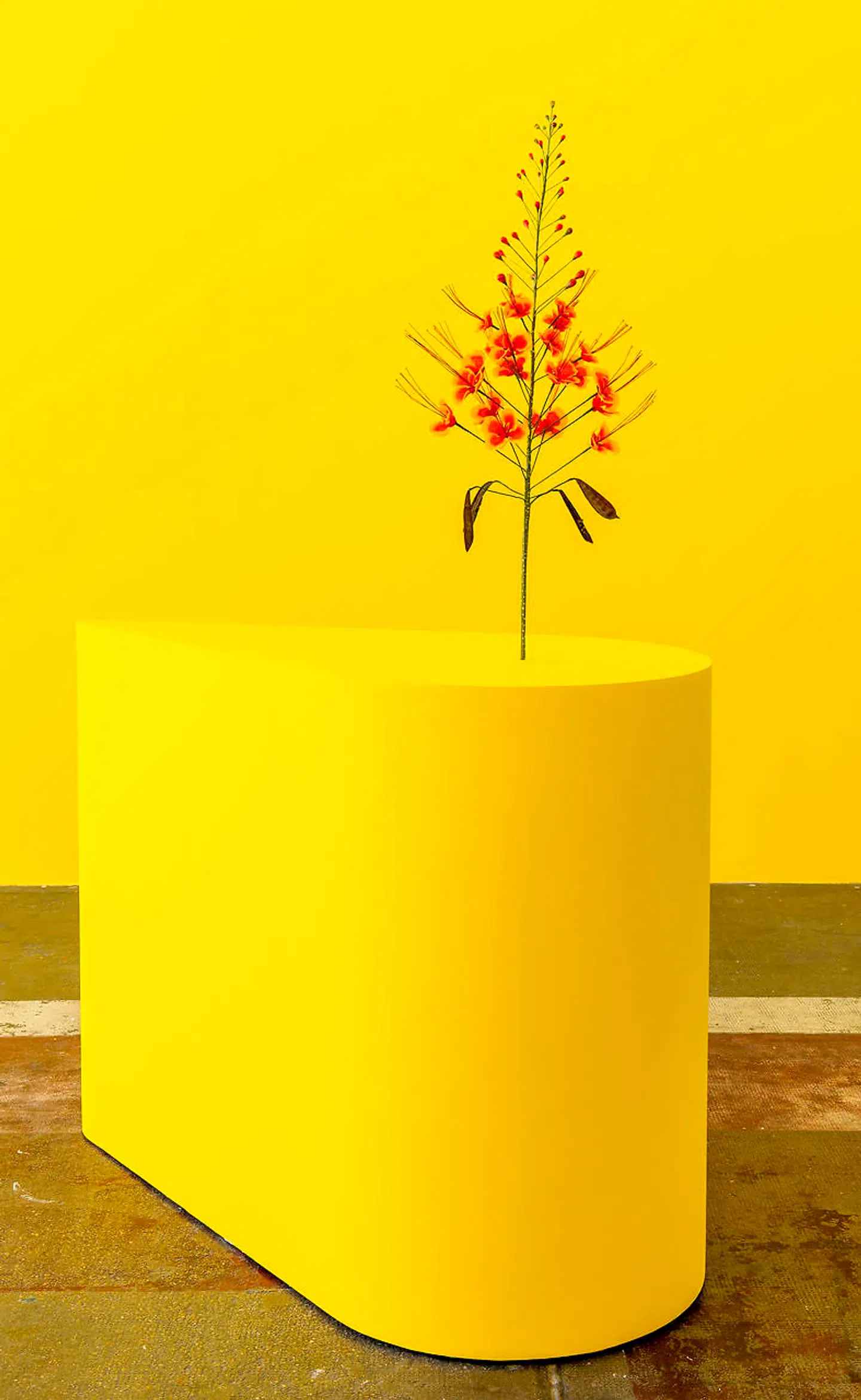 Kunstneren Kapwani Kiwangas værk, »The Marias« fra 2020.