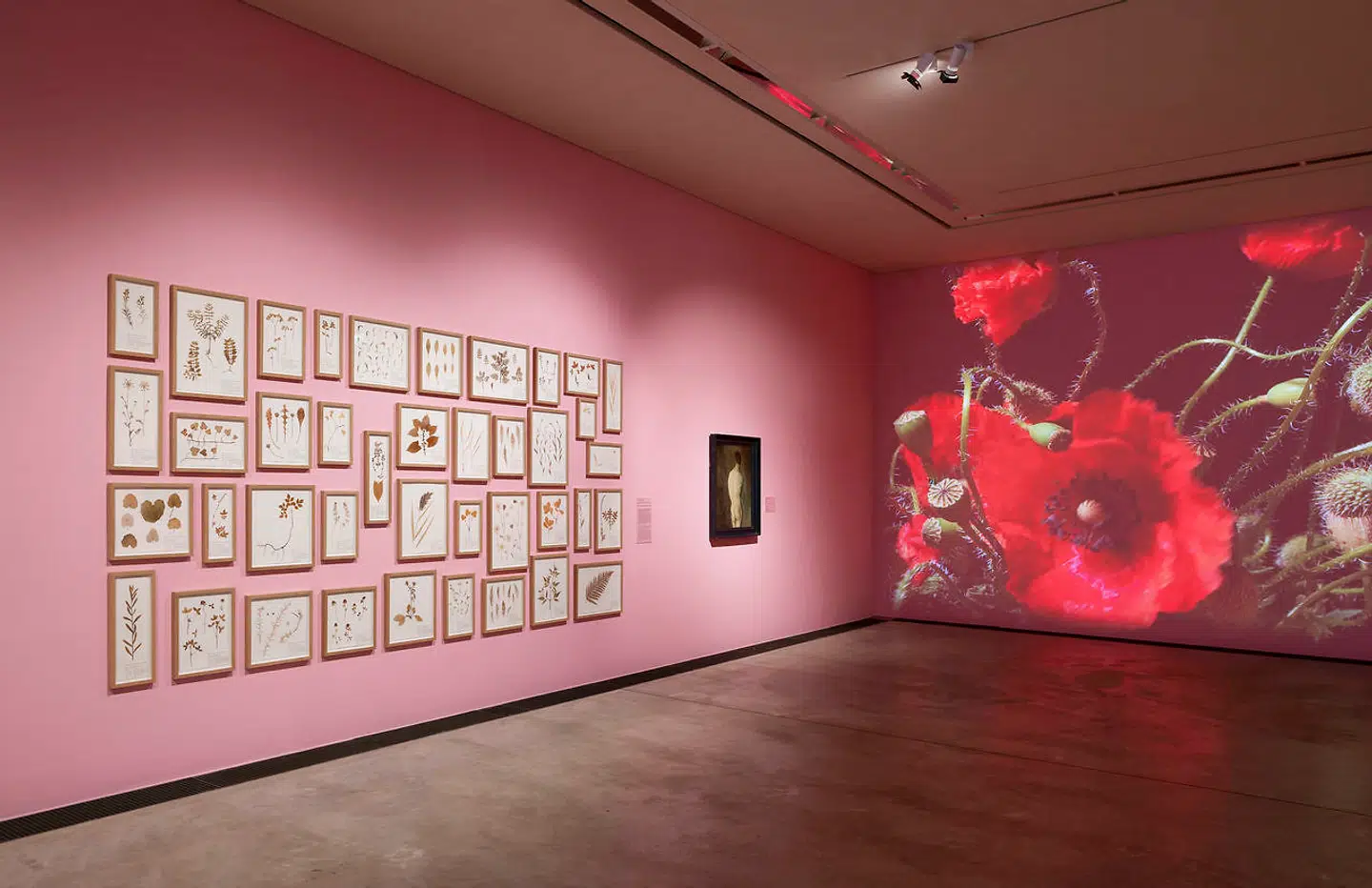 Installationsfoto fra udstillingen »Blomsten i kunsten« på Arken.