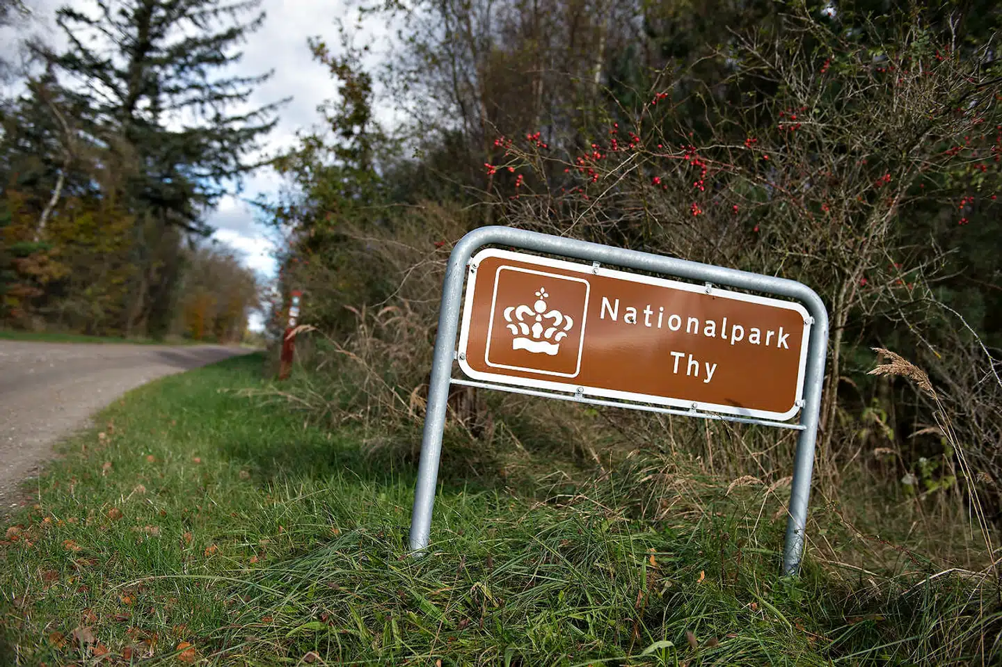 Miljøministeriet fremsatte onsdag et forslag om at omdanne en række områder til såkaldte naturnationalparker. Det har siden mødt kritik. (Arkivfoto) - Foto: Henning Bagger/Ritzau Scanpix