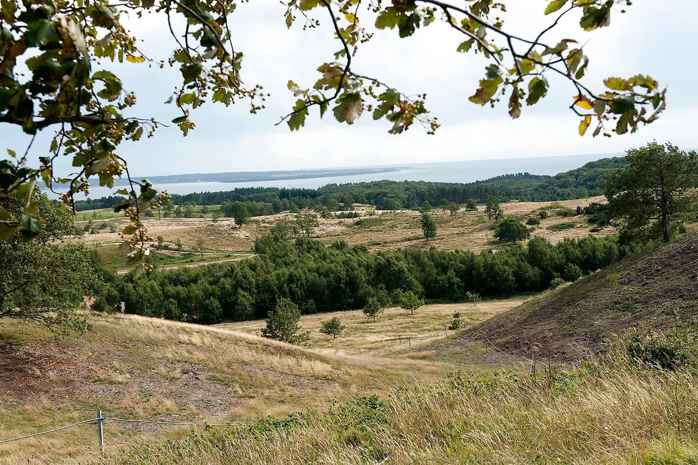 Arkivfoto: Nationalpark Mols Bjerge,.