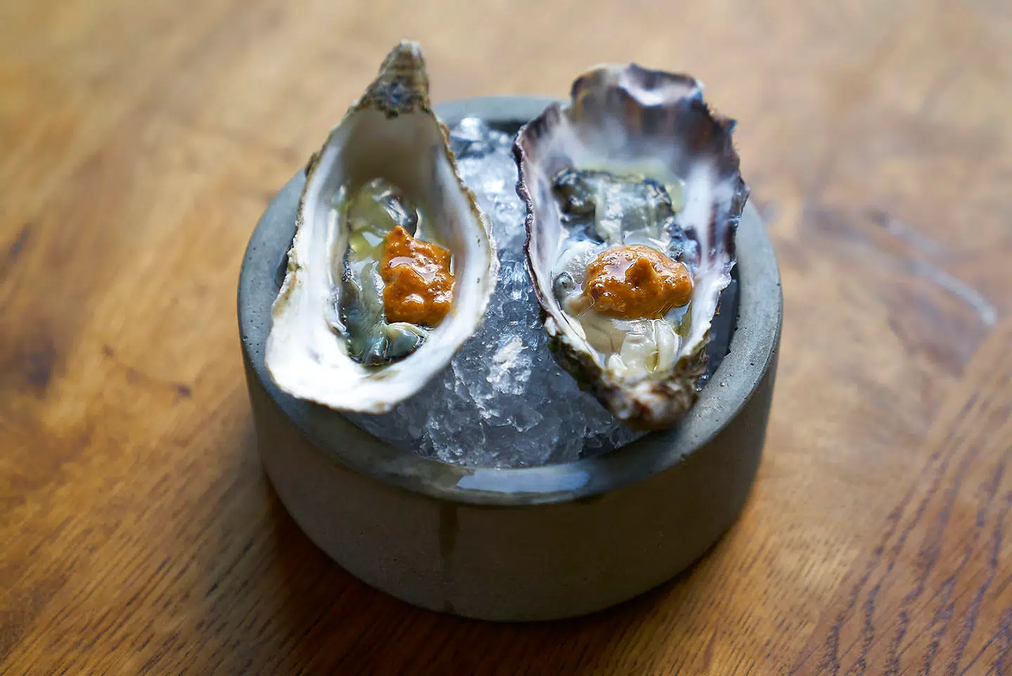 Østers med romesco sauce