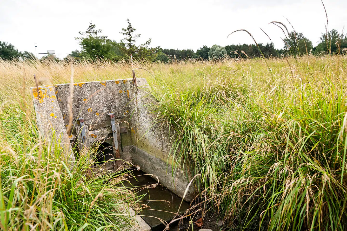 Arkivfoto: Efter store fund af det sundhedsskadelige stof PFOS i Korsør har Danske Regioner nu udpeget 145 lokaliteter, som skal undersøges nærmere.