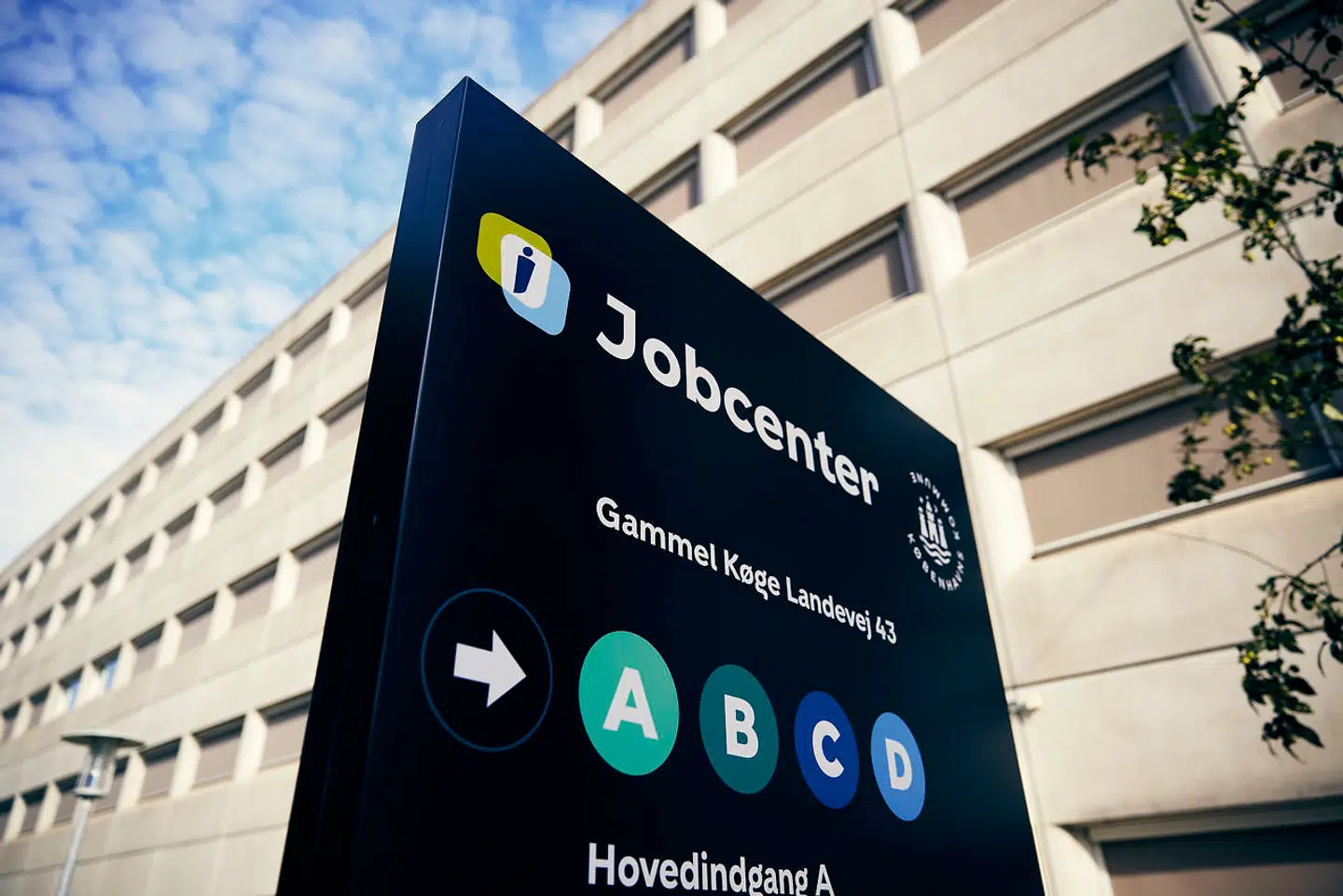 Vi har aldrig manglet cand.mag.'er i historie eller litteratur, kommunikationsuddannede, designere eller folk, der gerne vil arbejde indenfor tv-branchen. Alligevel uddanner vi dem i hobetal, skriver Christoffer Susé.