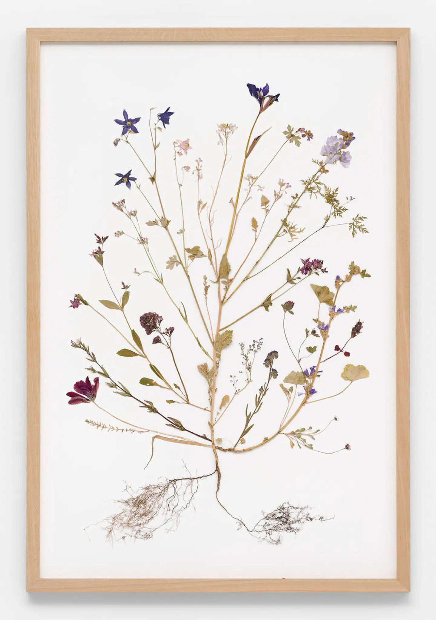 »Urphlanzen« fra »States of Beeing« af Rune Bosse.