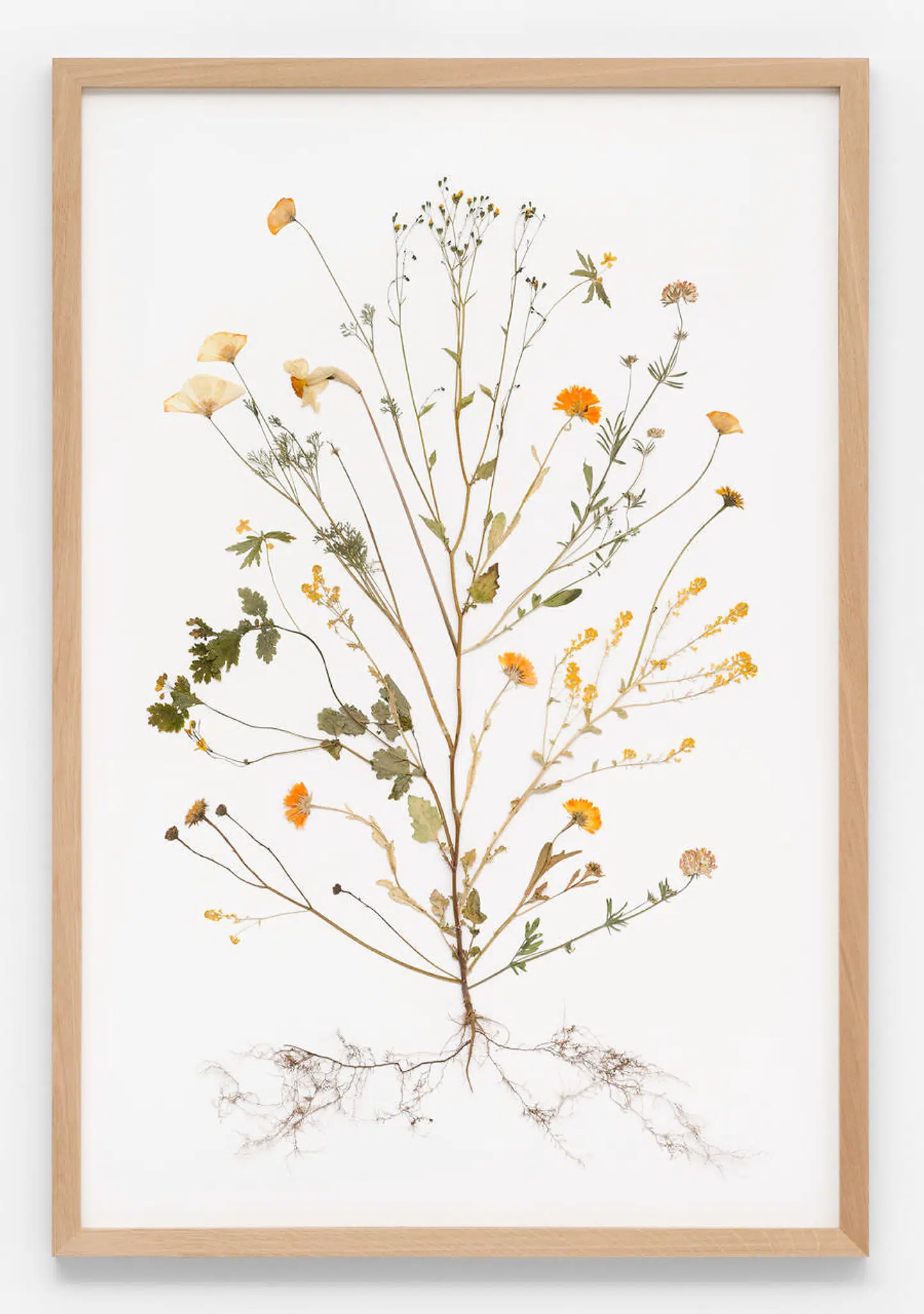 »Urphlanzen« fra »States of Beeing« af Rune Bosse.