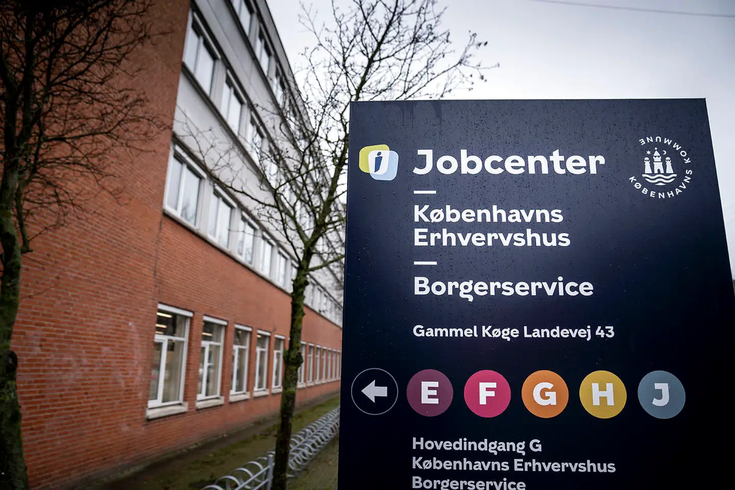 Da virksomheden De 5 Stjerner henvendte sig til Københavns Erhvervshus under kommunens jobcenter med 450 ledige stillinger, kunne der kun fremskaffes 80 kandidater – selvom der opgøres at være over 24.000 jobparate ledige i Københavns Kommune.