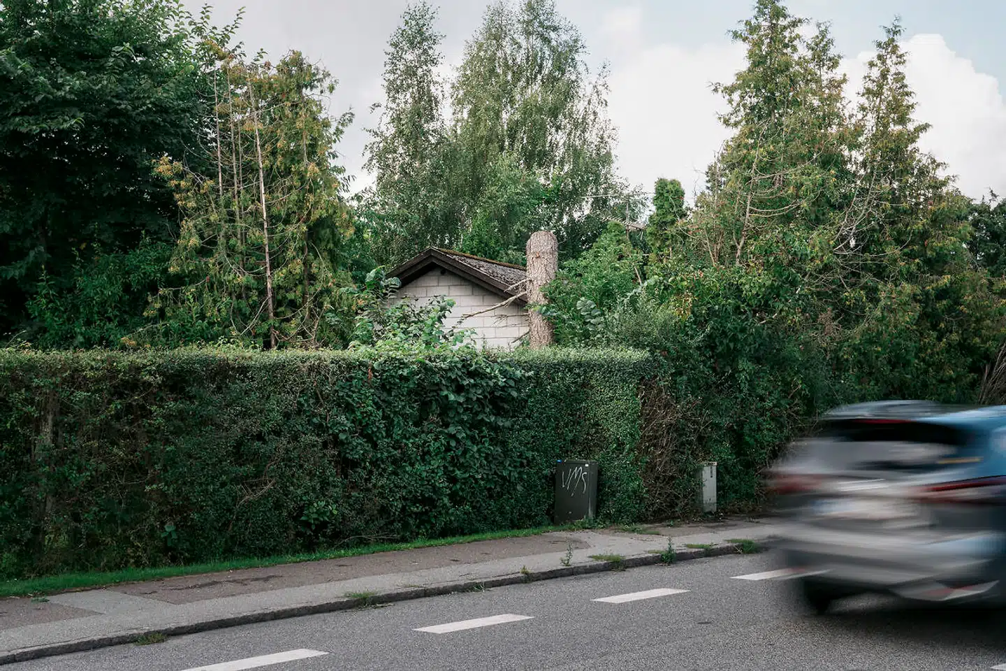 I 20 år har et hus på en almindelig villavej i Hørsholm stået tomt og forladt. Naboerne undrer sig, og spørger, hvordan det kan få lov at stå tomt, og om de nye ejere ikke er interesserede i at sælge eller gøre noget ved huset?