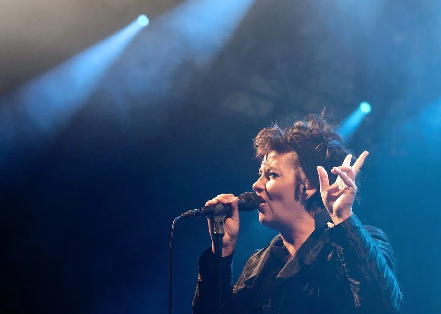 Dodo and the Dodos på Scenen under Bork Havn Musikfestival lørdag aften 6 august 2011.