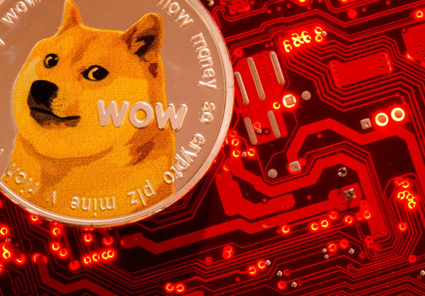 Dogecoins logo indeholder en hund af racen Shiba. Den samme hunderace går igen i flere memes på internettet.