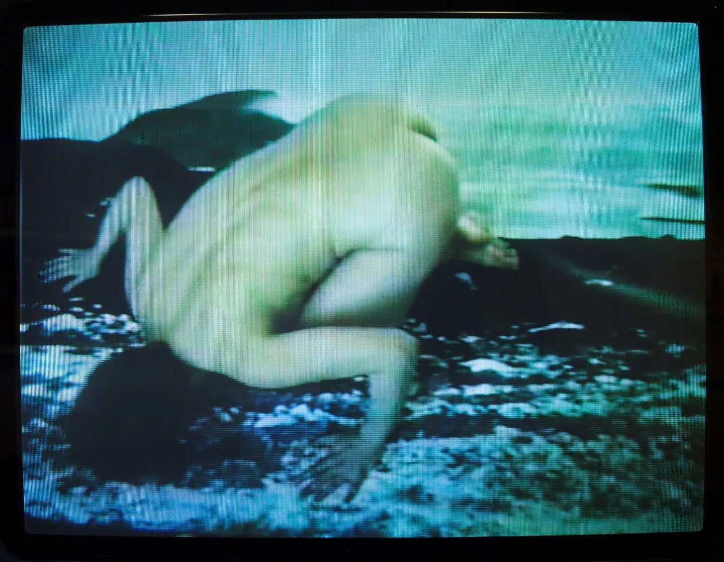 Still fra Pia Arke: »Artic Hysteria«, 1996.