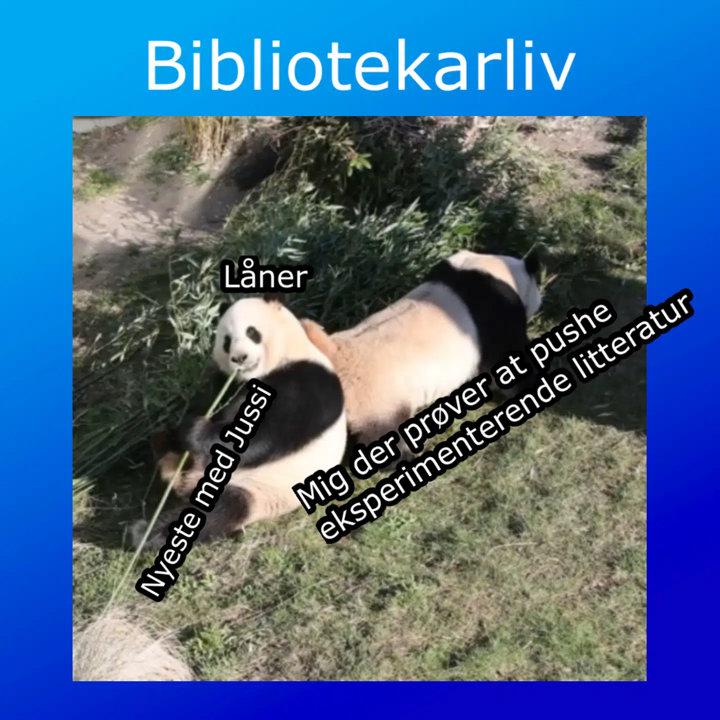Blågårdens Bibliotek forsøger med stort held at gå nye veje og gøre den klassiske litteratur cool og tidssvarende. Biblioteket lykkes særligt via Instagram, hvor næsten 10.000 mennesker følger dets daglige opdateringer med humoristiske og underfundige selvkonstruerede »memes«.