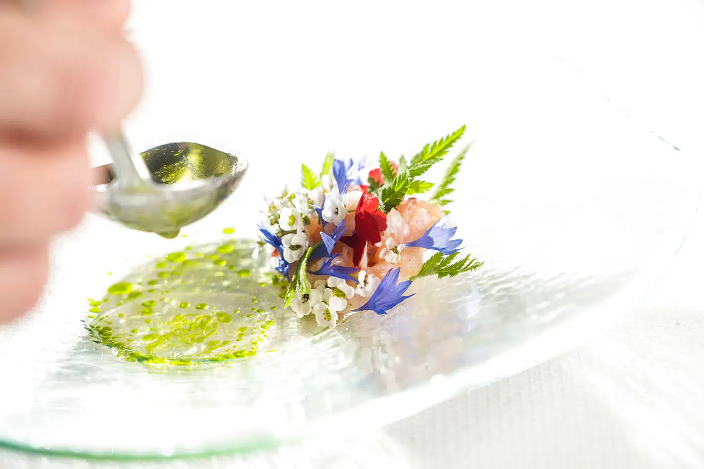 Hummer i hvid tomatconsommé.