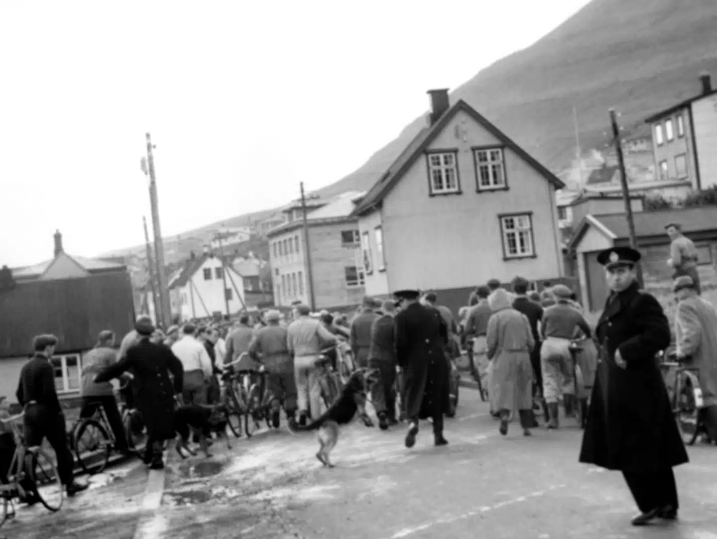 I 1955 måtte der et massivt dansk politiopbud med politihunde til at holde ro på havnen i Klaksvig.