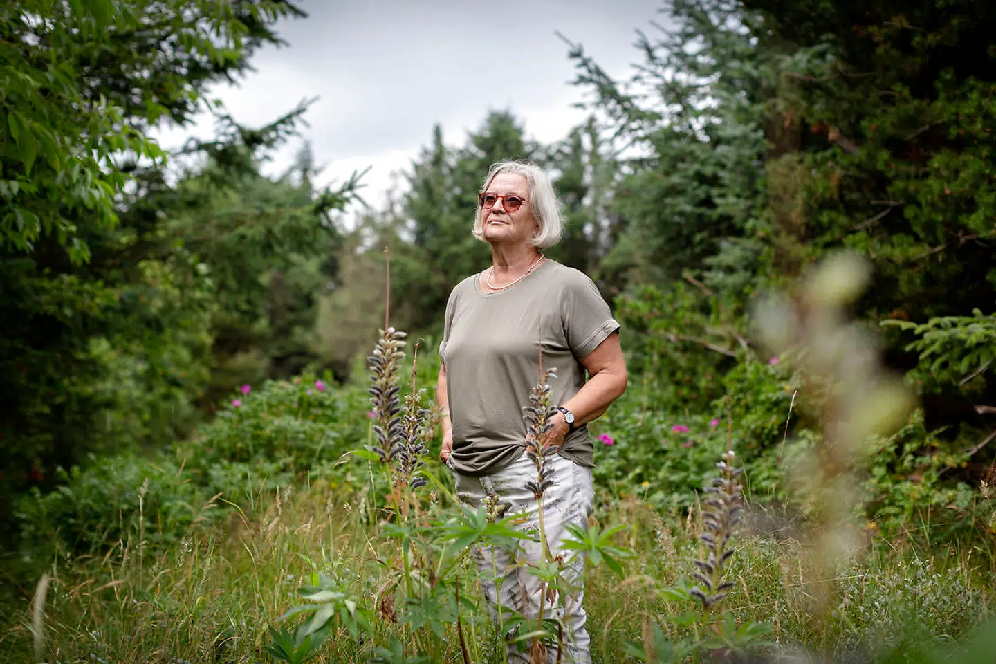 I foråret 2008 drog Elin Petersen med medlemsforeningen Den Danske Afghanistan Komité (DAC) for første gang til Afghanistan. Hun skulle være med til at kigge på børnedødeligheden i Herat-provinsen i det vestlige Afghanistan. I dag er hun betyrelsesformand for foreningen.