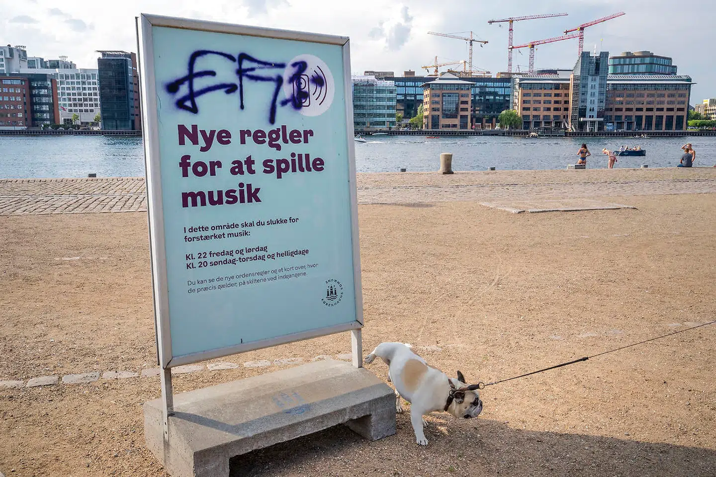 De nye regler fra kommunen er placeret rundt omkring langs Bryggen.