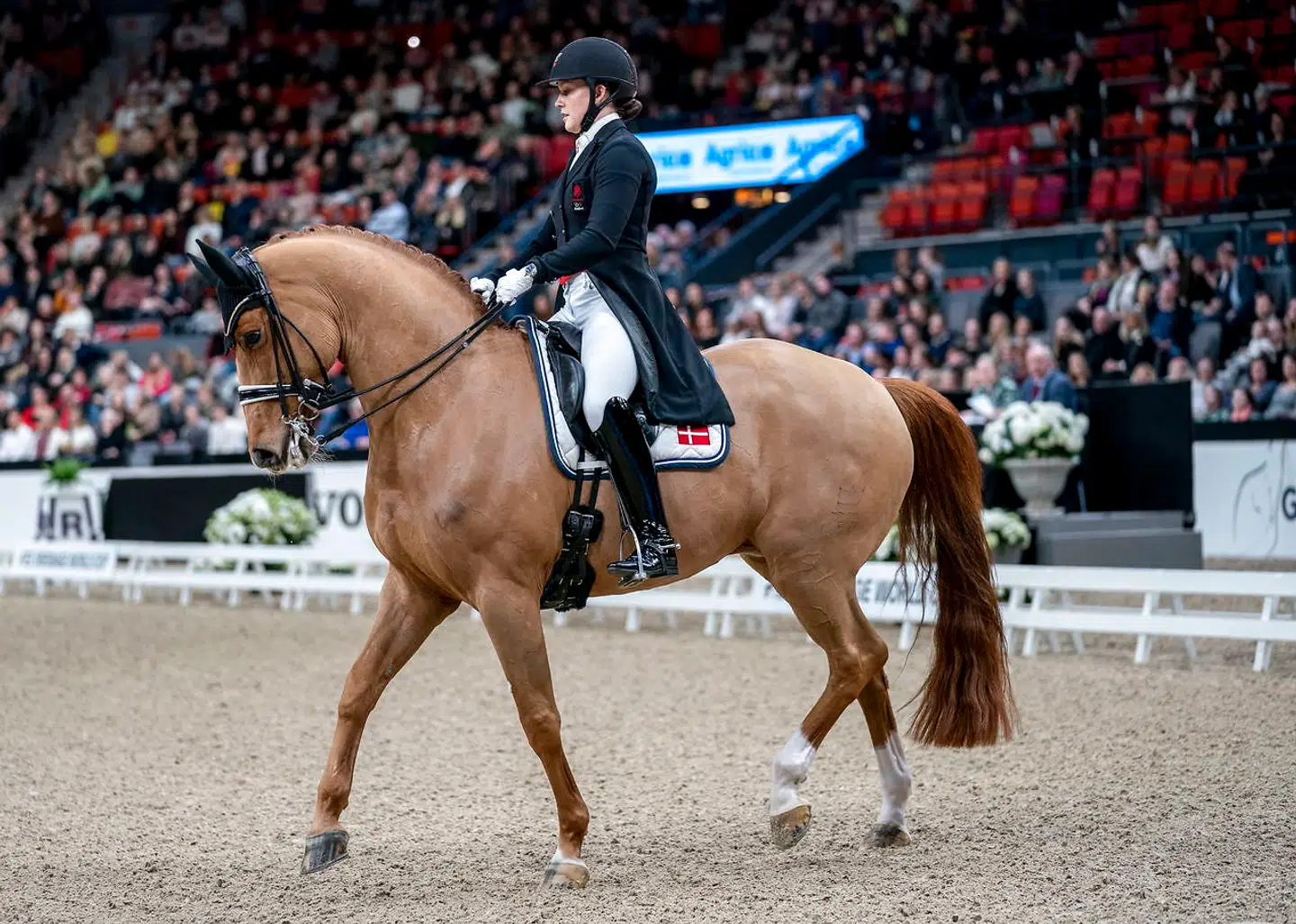 Cathrine Dufour (her på billedet) og Nanna Skodborg i disciplinen dressur, der går i gang klokken 10.00 lørdag.