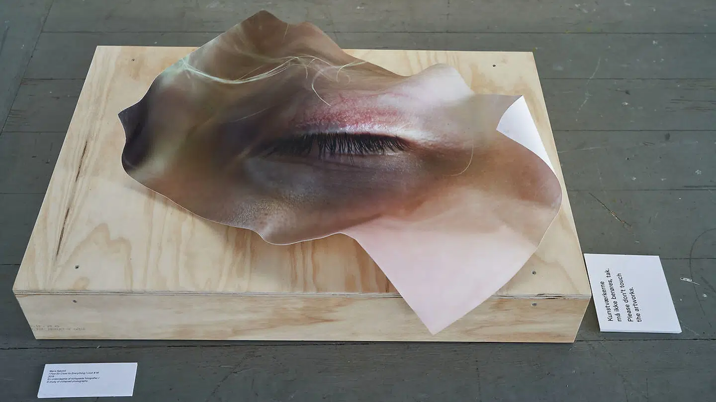 Udstillingsfoto fra Fotografisk Center, hvor de to kunstfotografer Astrid Kruse Jensen og Marie Sjøvold ifølge Berlingskes anmelder tryller med lyset.