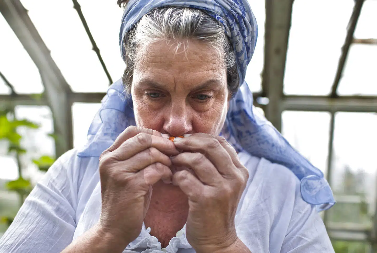 Camilla Plum – der er selvlært kogekone, kogebogsforfatter og madskribent – har alene i år modtaget syv kontrolbesøg fra fødevaremyndighederne.