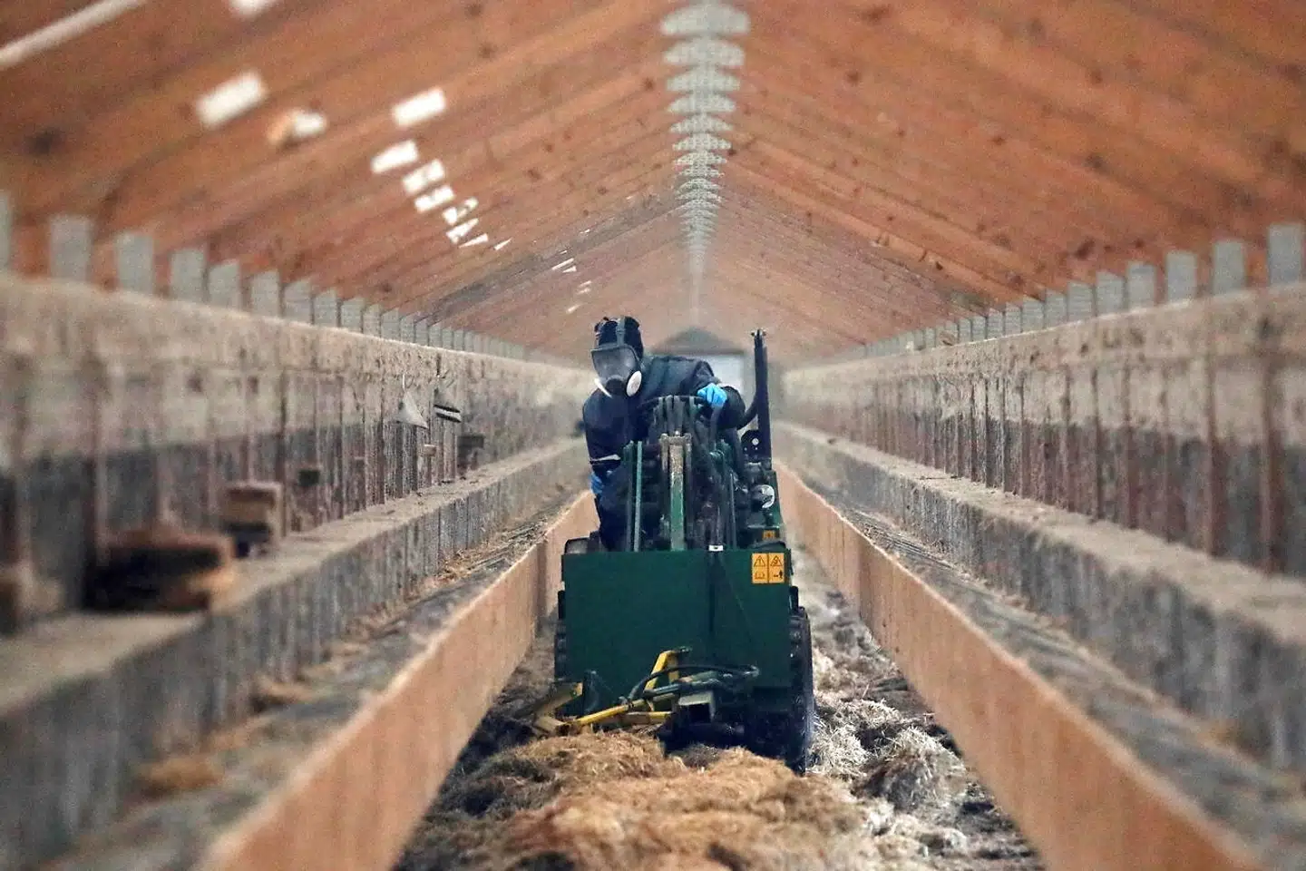 Arkivfoto. Snart bliver mink gravet op i Kølvrå.