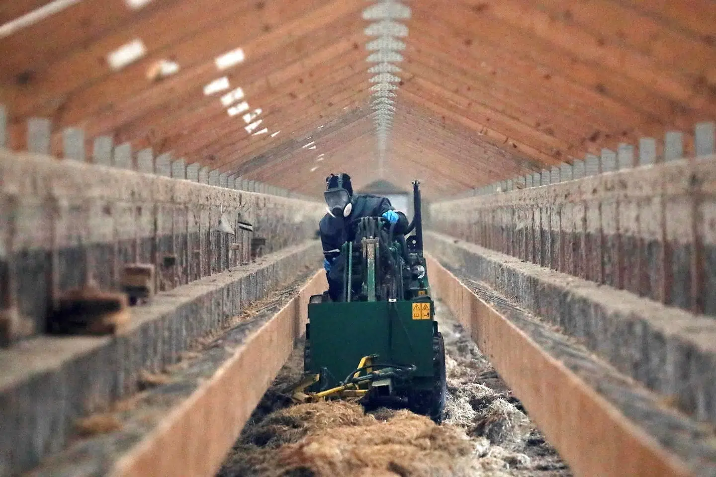 Arkivfoto. Snart bliver mink gravet op i Kølvrå.