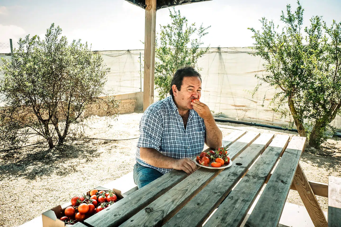 Paco Lozano var egentlig i gang med en businesskarriere i et multinationalt selskab, da det lukkede sine aktiviteter i Spanien. I stedet grundlagde han – inspireret af bedsteforældrenes traditionelle tomatavl – firmaet Ecosur, og i dag er han det økologiske gartneris grand old man i Almería-provinsen.